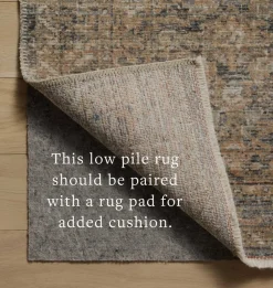Molly MOL-02 Denim / Gold Area Rug