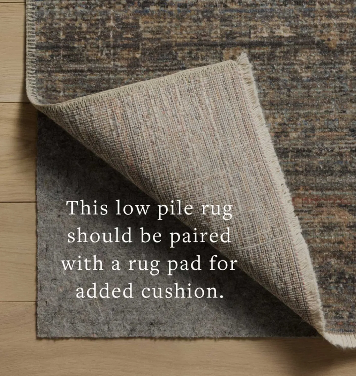 Molly MOL-05 Lagoon / Natural Area Rug