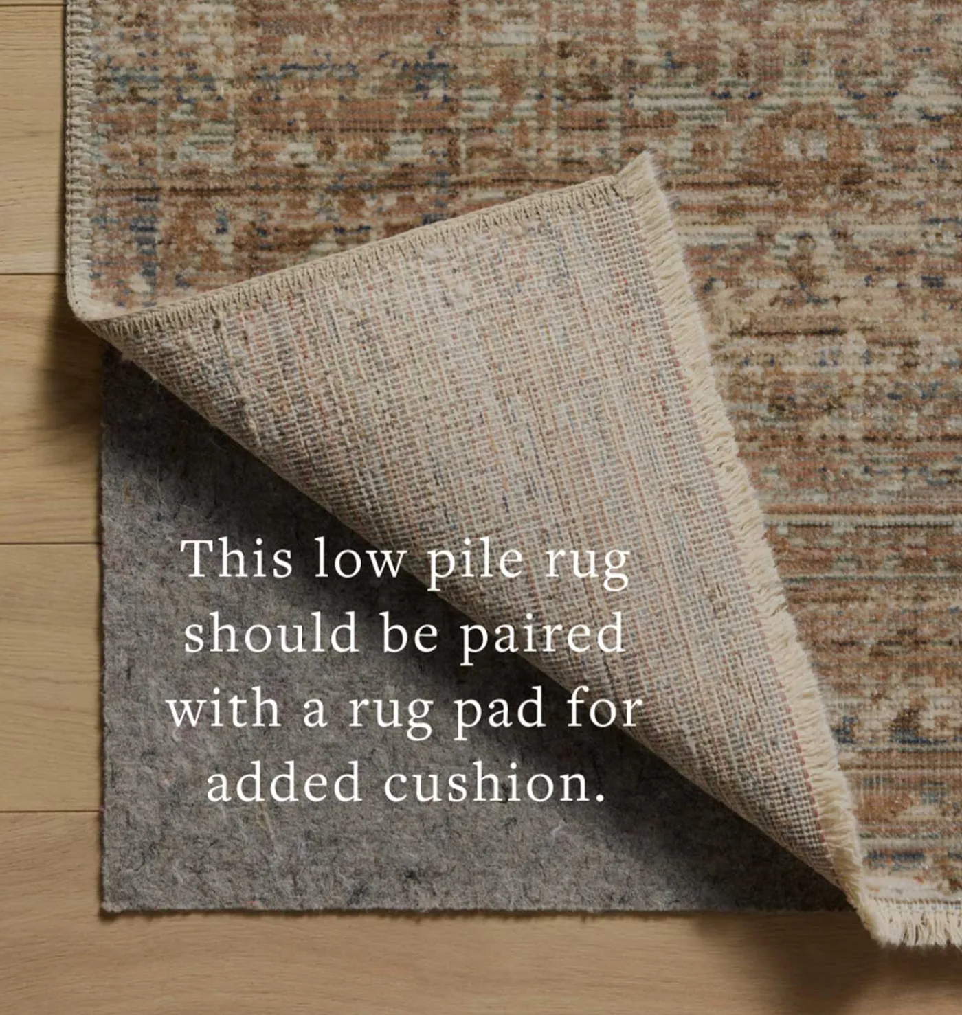 Molly MOL-01 Natural / Denim Area Rug