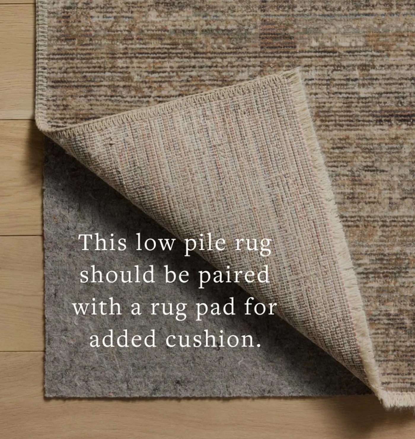 Molly MOL-07 Tobacco / Sage Area Rug