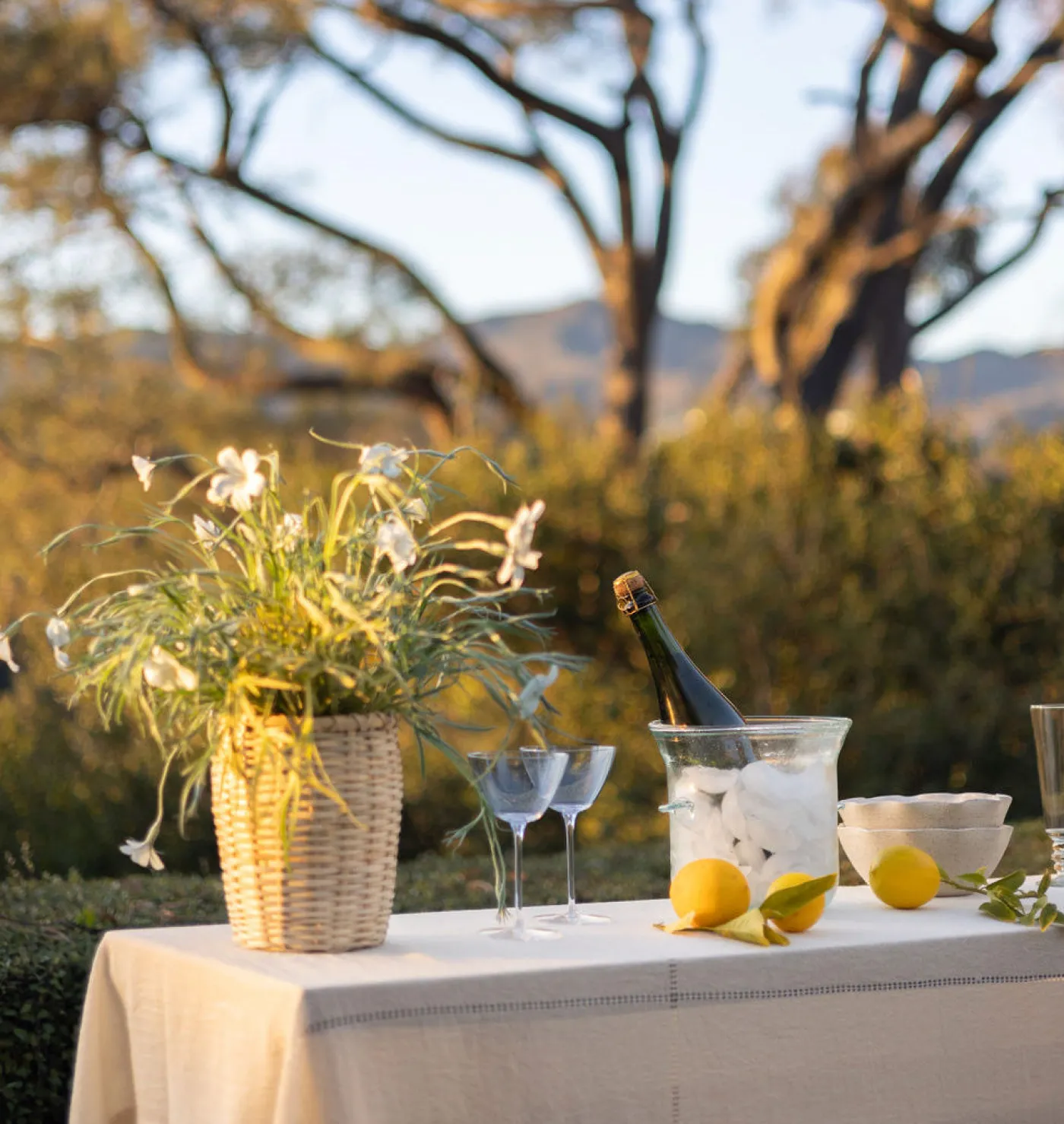 Monroe Martini Glass