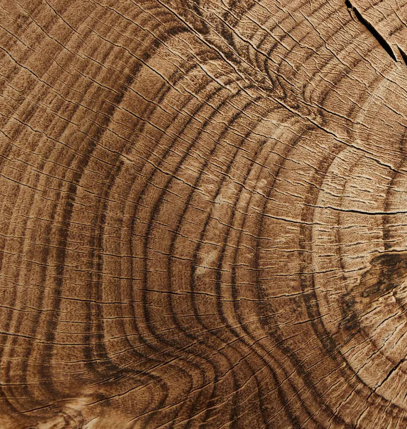 Montero Wood Bowl
