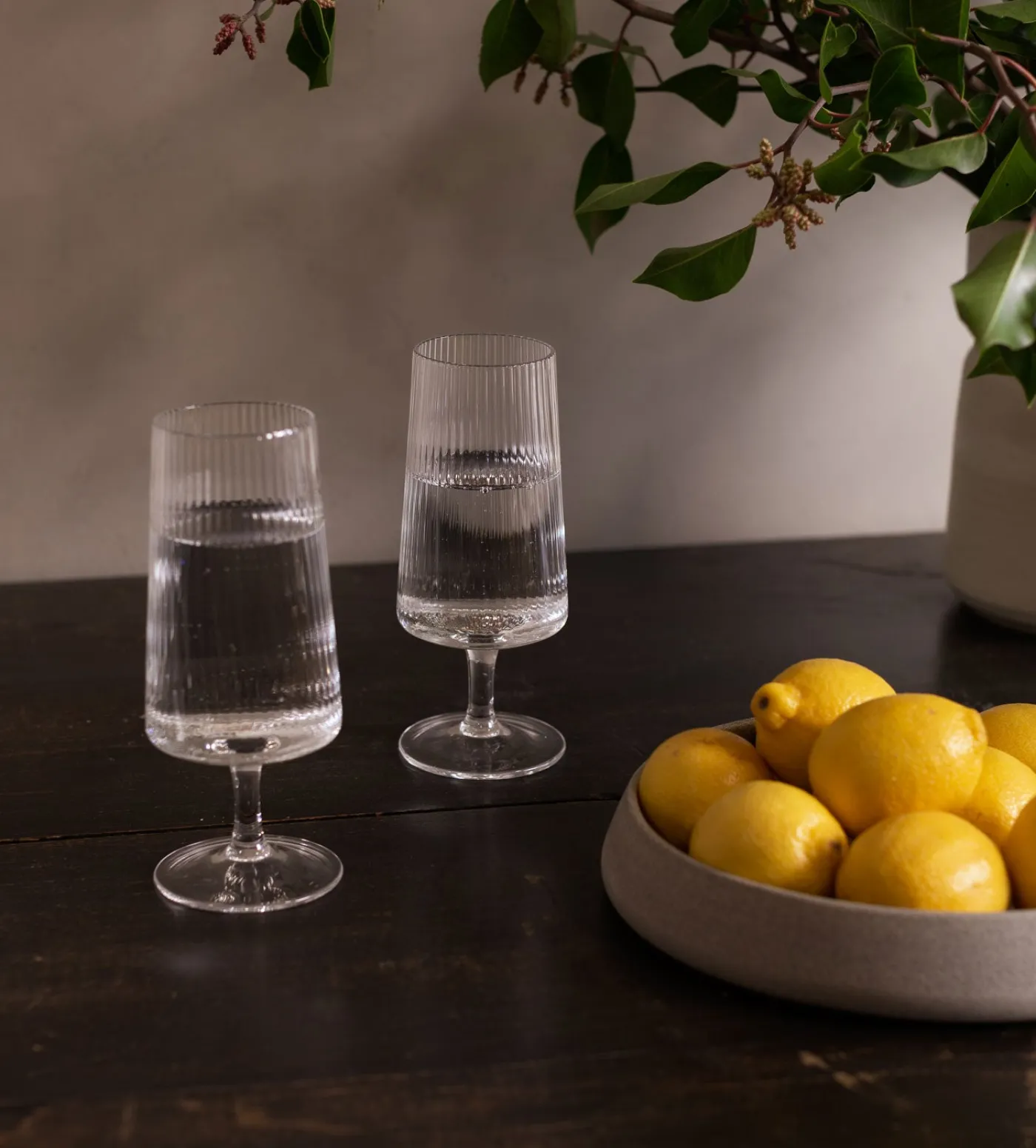 Nova Cocktail Glass