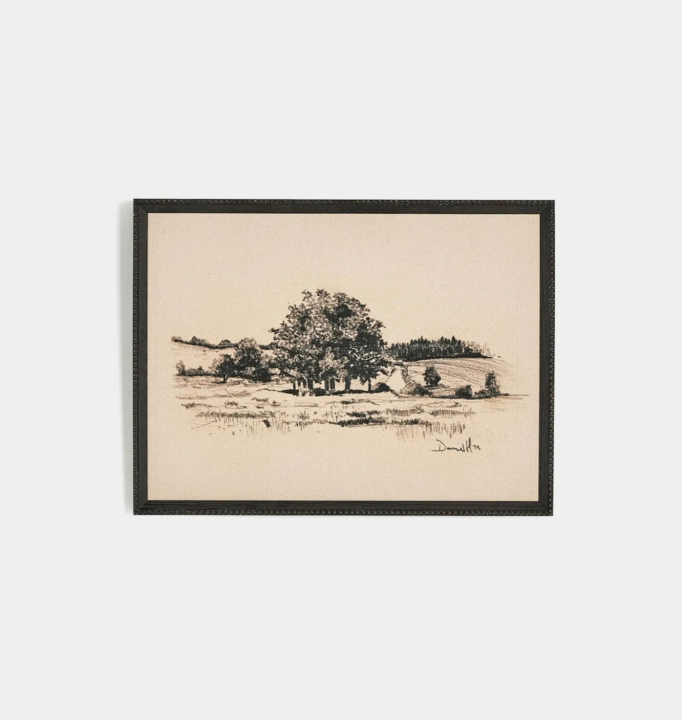 Path View by Dan Hobday Framed Print