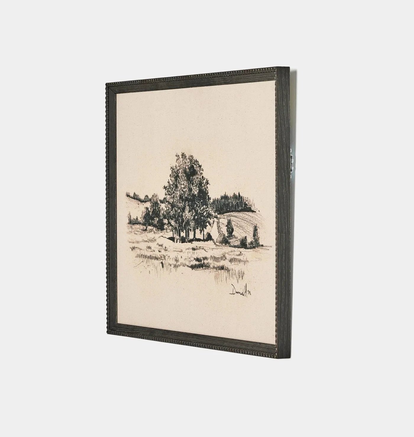 Path View by Dan Hobday Framed Print