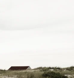 Quiet Dunes