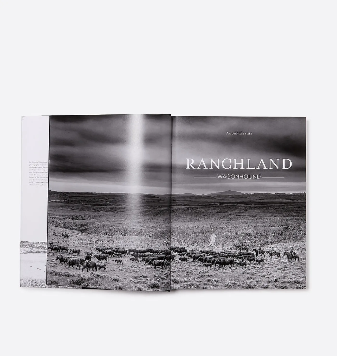 Ranchland: Wagonhound
