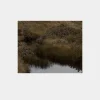 Riverine Unframed Print