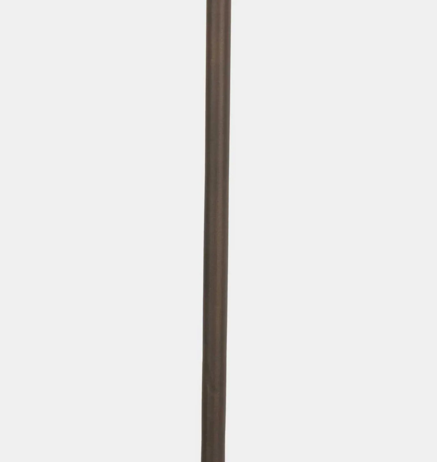 Salina Plug-In Sconce