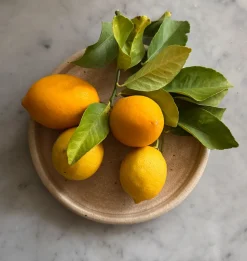Samos Dinnerware
