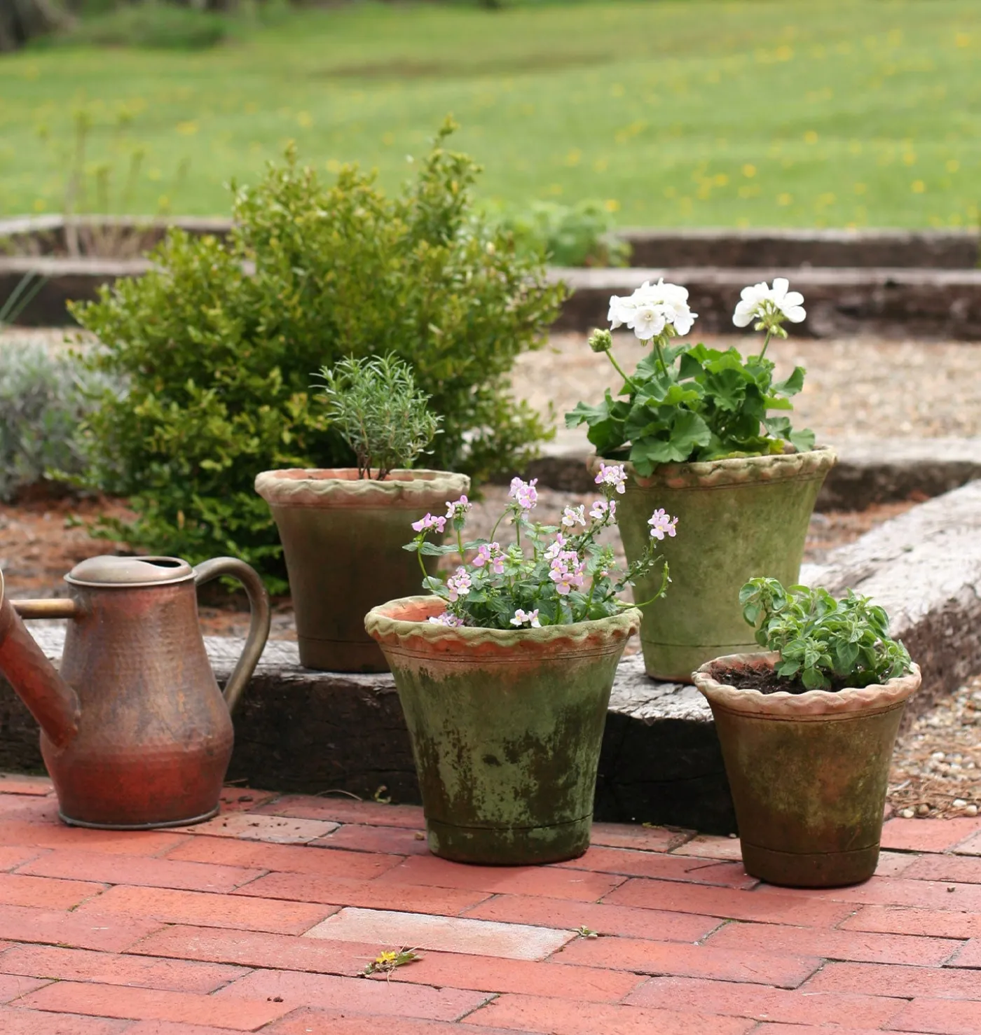 Scalloped Nursery Planter
