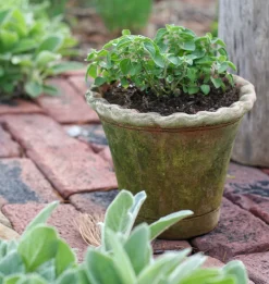Scalloped Nursery Planter