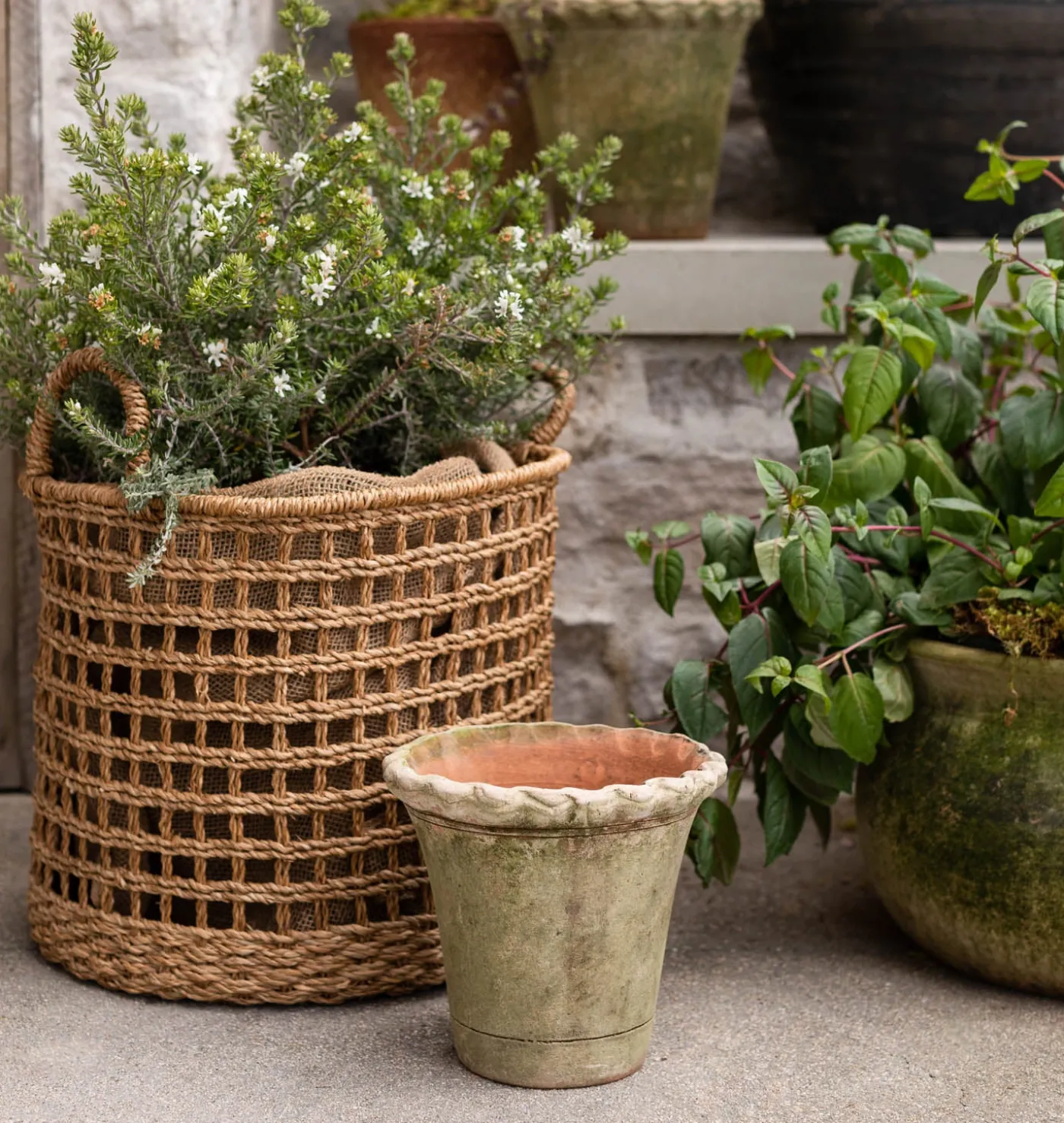 Scalloped Nursery Planter