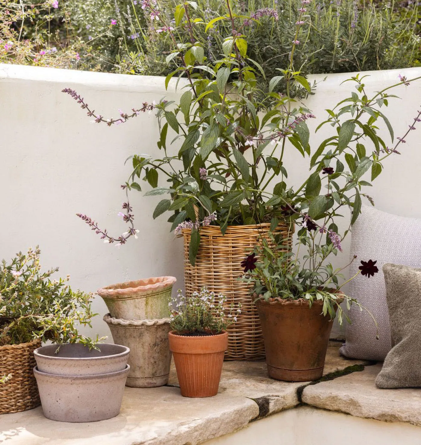 Scalloped Nursery Planter