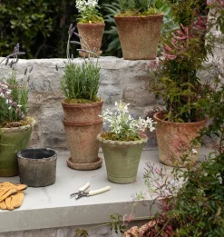 Scalloped Nursery Planter