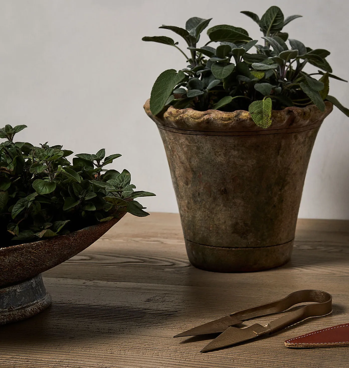 Scalloped Nursery Planter
