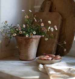 Scalloped Nursery Planter