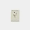 Seed Packet
