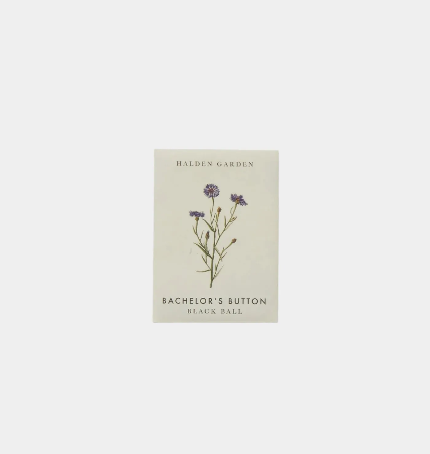 Seed Packet