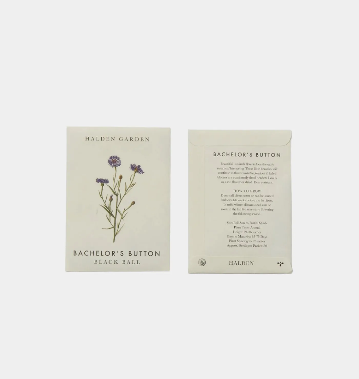 Seed Packet