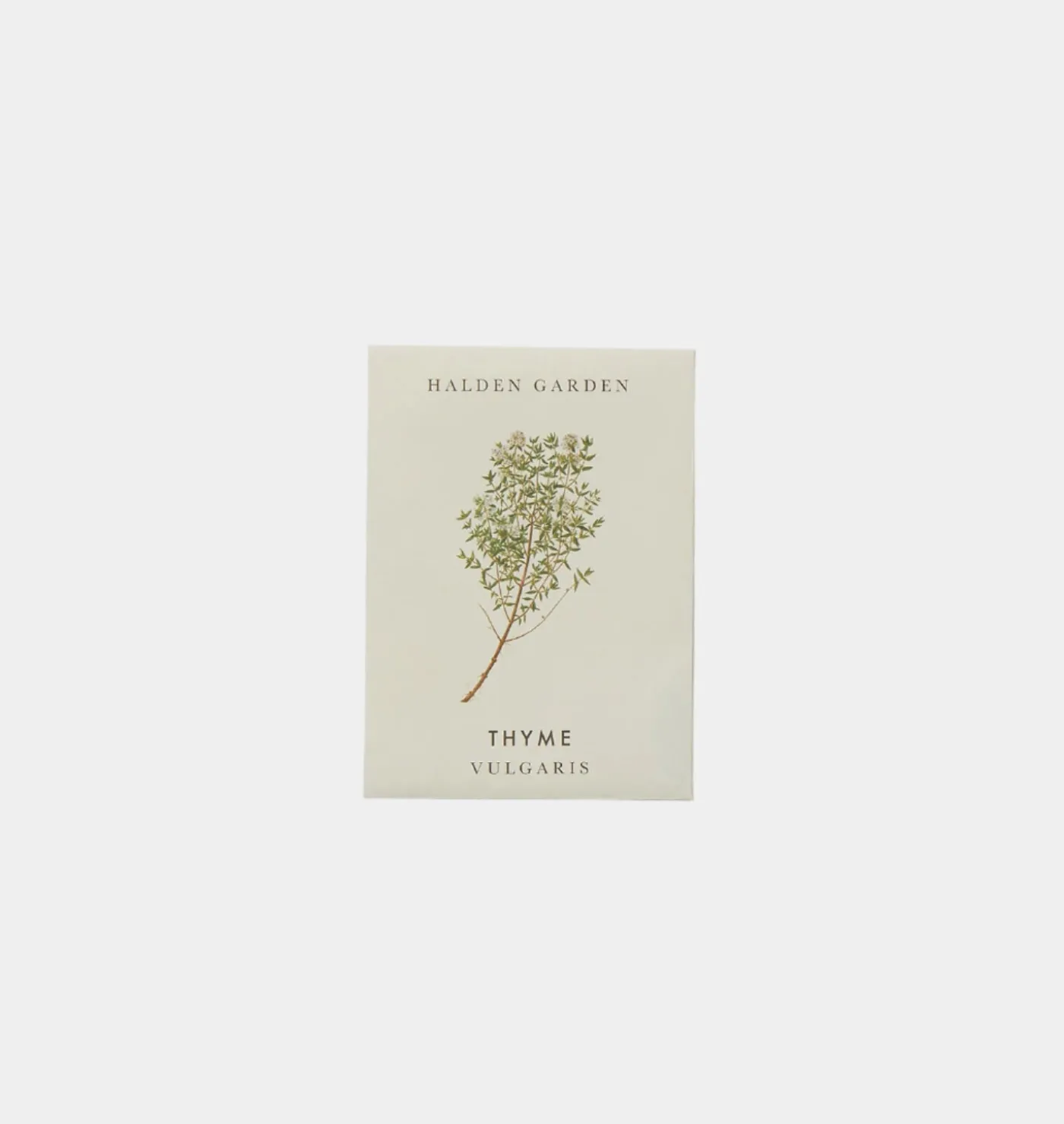 Seed Packet