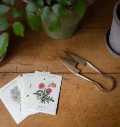 Seed Packet