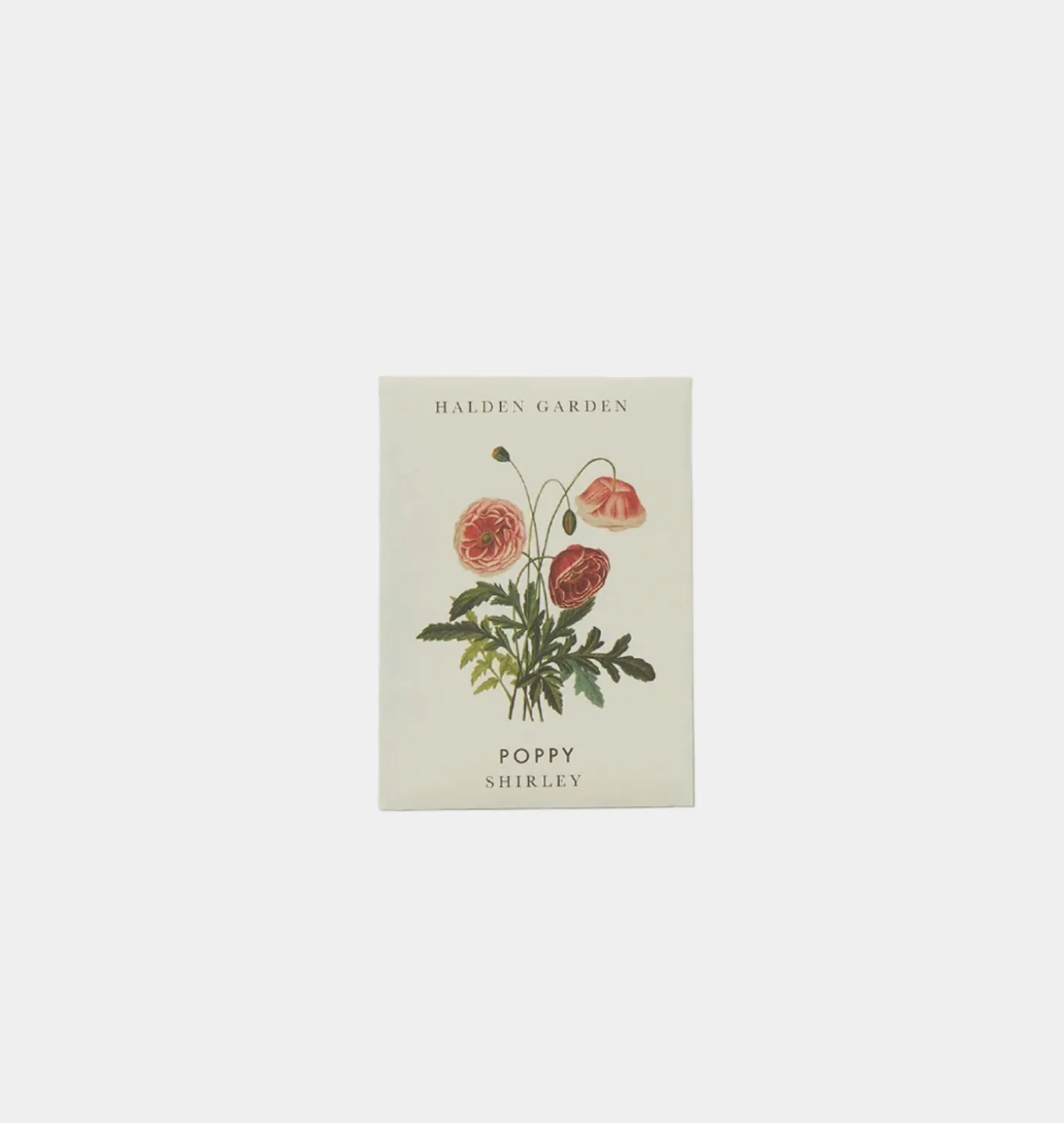 Seed Packet