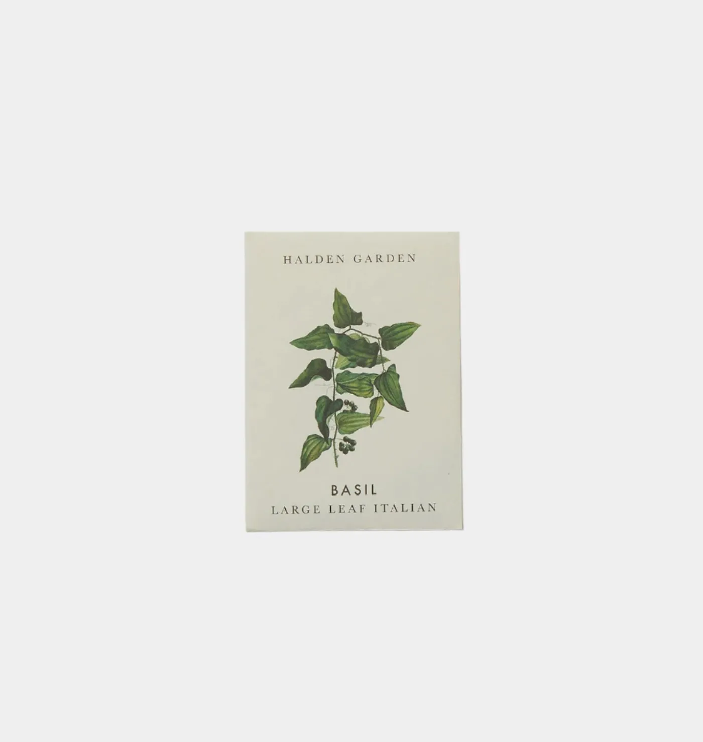 Seed Packet