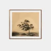 Serenity by Chelsea Fly Framed Print