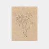 Small Contour Flower