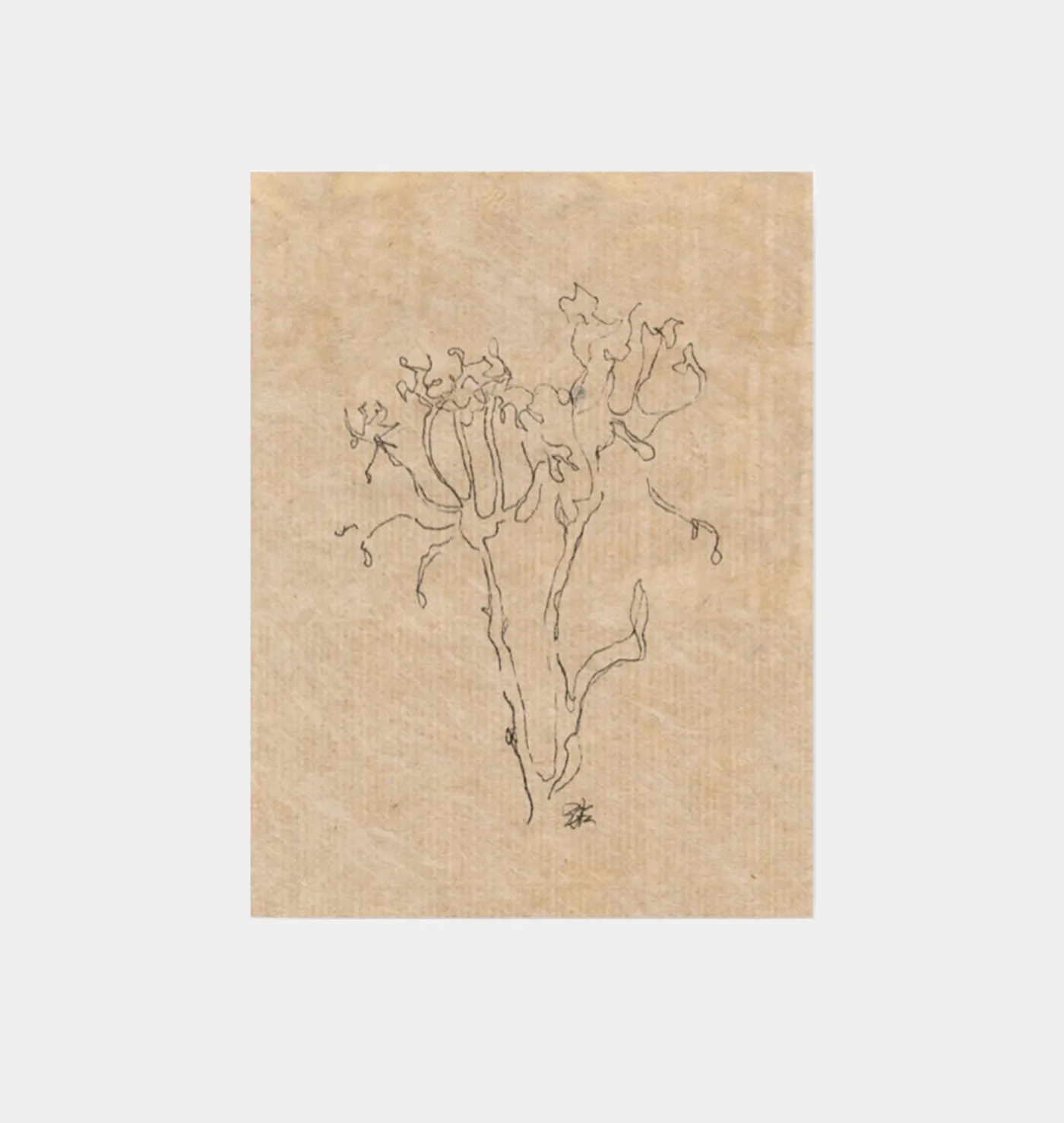 Small Contour Flower
