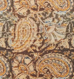 Suraj Paisley Indoor / Outdoor Pillow