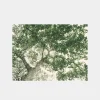 The Giving Tree