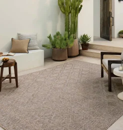 Topanga TOP-06 Natural / Mist Area Rug
