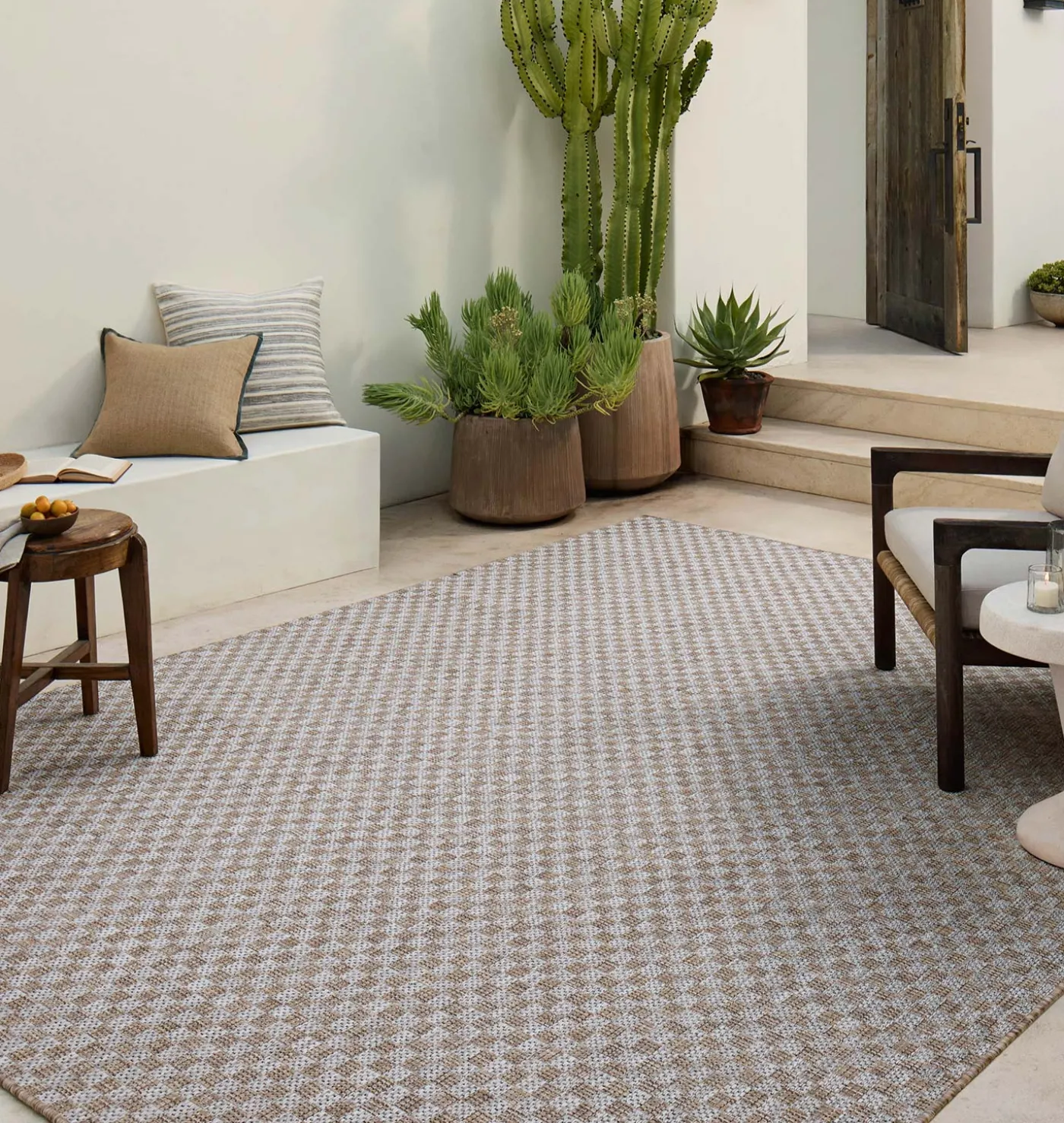 Topanga TOP-02 Natural / Silver Area Rug