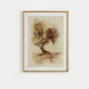 Undone Cypress by Coup d'Esprit Framed Print
