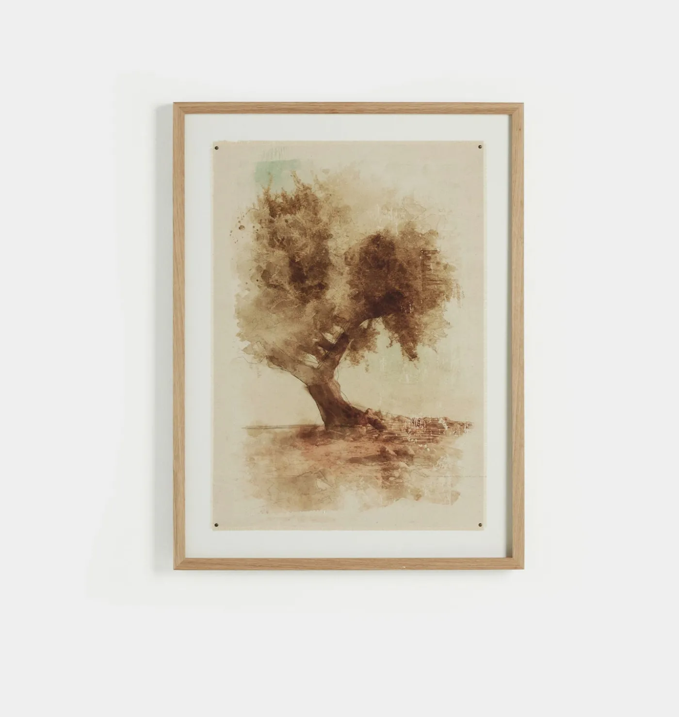 Undone Cypress by Coup d'Esprit Framed Print