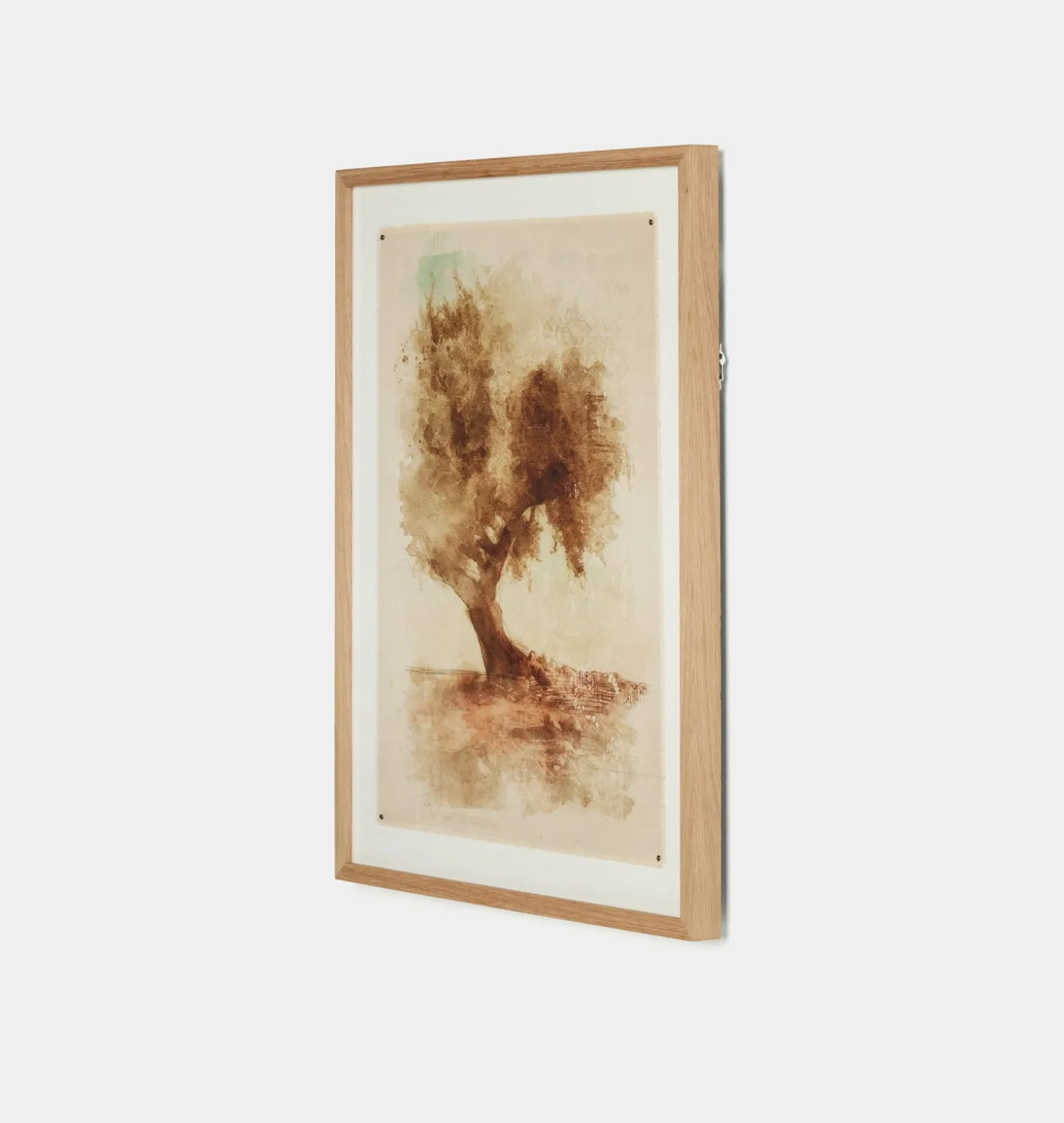 Undone Cypress by Coup d'Esprit Framed Print