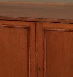 Vintage 19th Century English Oak Glazed Cabinet