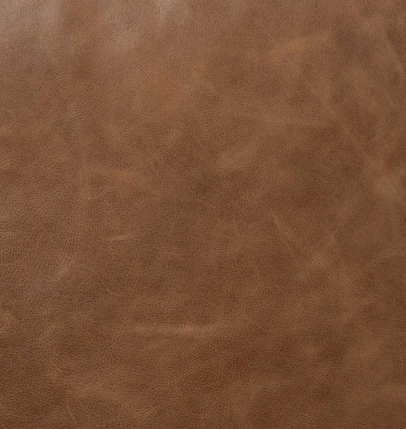 Warren Lounge Chair