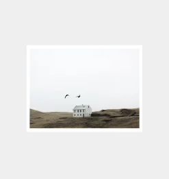 White House with Birds