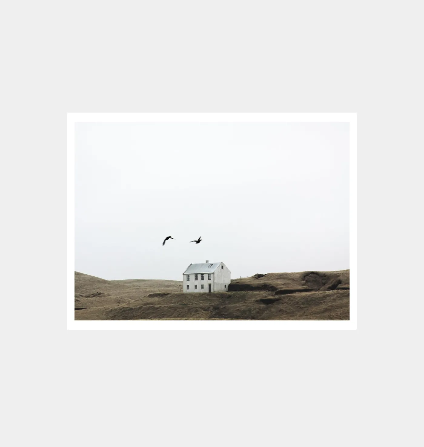 White House with Birds