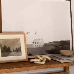 White House with Birds